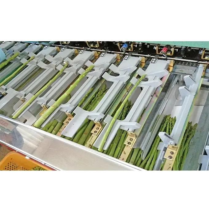 砂川さんの特選 アスパラ 1kg Lサイズ【さぬきのめざめ】 アスパラガス 冷蔵便 野菜 甘い 美味しい グリーンアスパラ 1万円以下 野菜セット 新鮮 旬 とれたて お取り寄せ 小分け BBQ 自宅