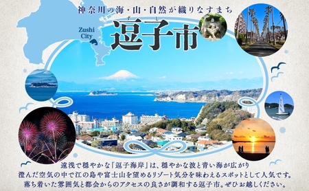 【逗子海岸・エバーリゾート 】ゲストもメンバーも使える！エバーリゾート割引券30  体験レッスン シーカヤック SUP ヨット  マリンスポーツ ウエットスーツ リラックス 少人数海辺 逗子海岸 波少