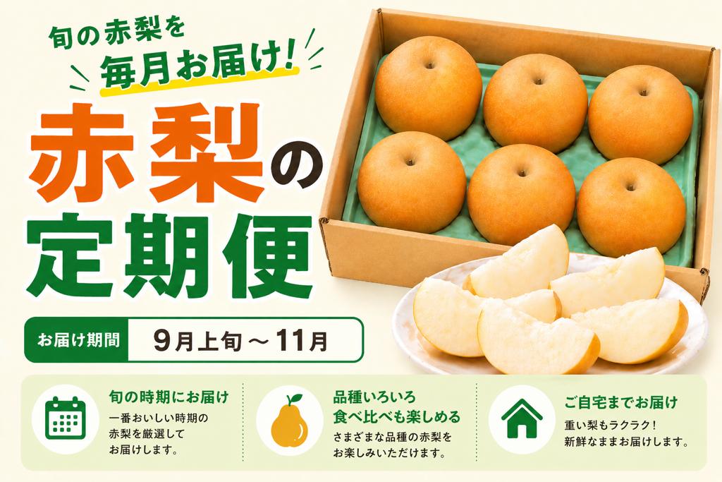 
                  赤梨の定期便
                