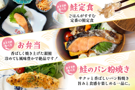 【 マルベニ 】〈訳アリ〉天然銀鮭1.5kgお得パック_OS212-0004