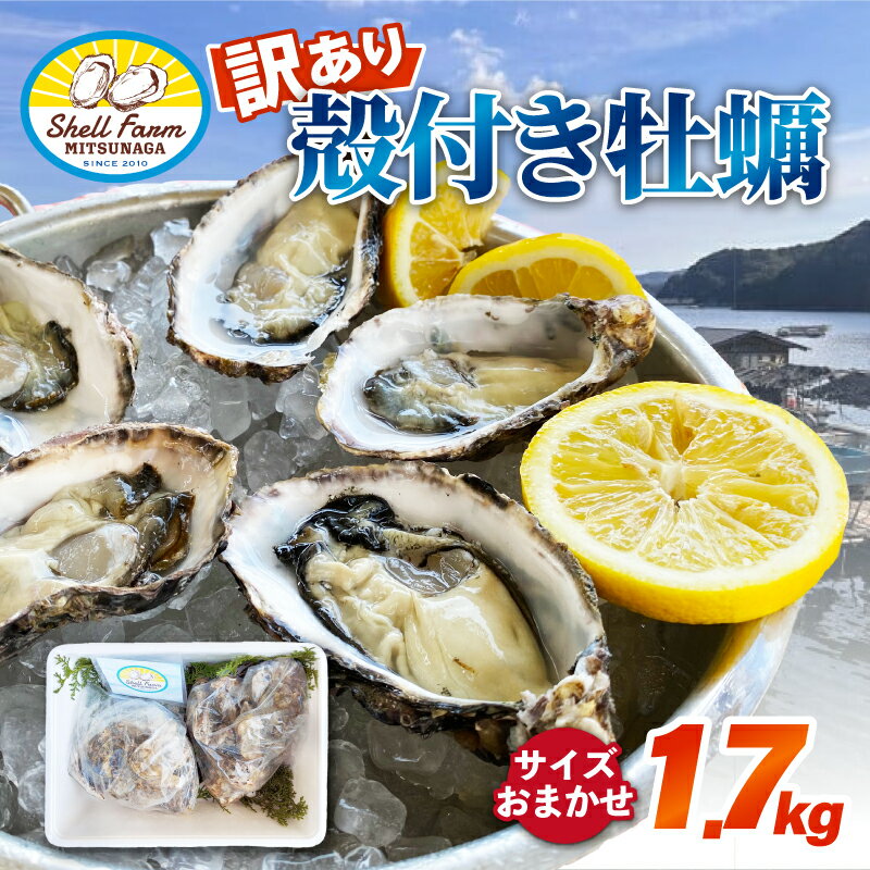 【ふるさと納税】 牡蠣 殻付き 1.7kg 加熱用 訳あり牡蠣 冷蔵 殻付 料理 カキフライ オイスター おつまみ 弁当 おかず 惣菜 グラタン BBQ バーベキュー ごはん 魚介 海鮮 牡蠣鍋 伊勢 志摩 三重県 南伊勢町 10000円 以下 1万円