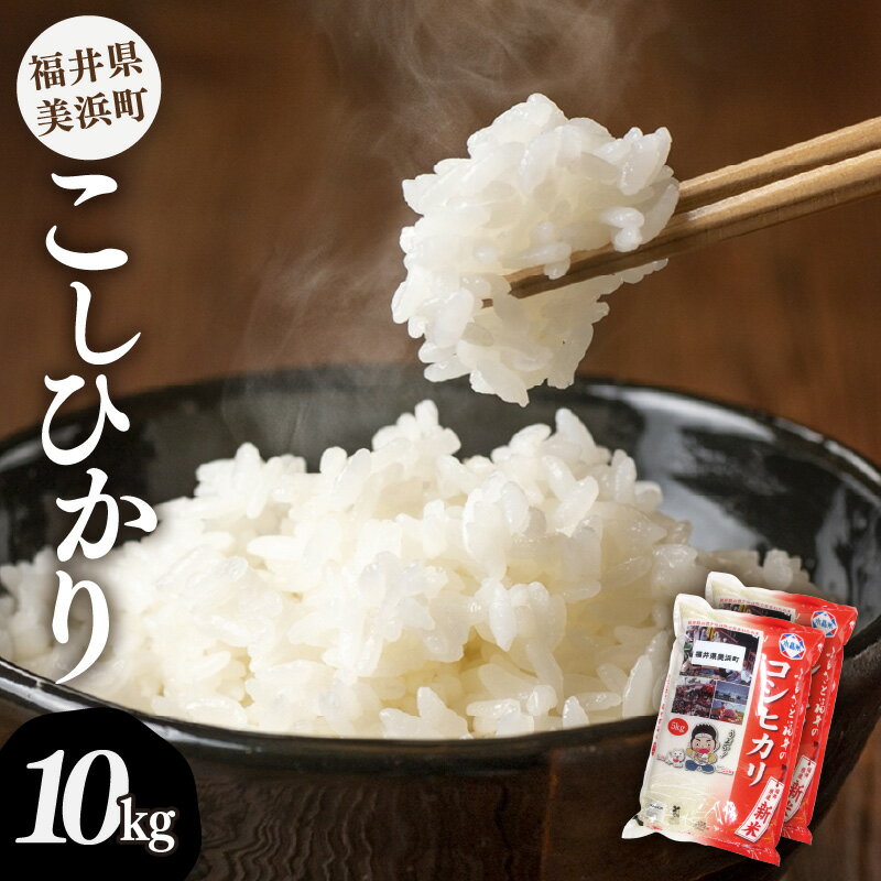 【ふるさと納税】【令和7年産】 米 コシヒカリ 計10kg （5kg × 2袋）精米 福井県美浜町産【発送月選択可】 米 お米 10kg 10キロ [m60-c005]