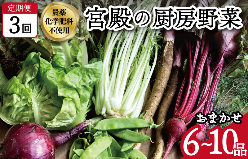 
宮殿の厨房野菜 おまかせ定期便 （3回） 六月農園 野菜 セット 産地直送 おまかせ 季節の野菜 旬 詰め合わせ 人気 限定 減農薬 有機栽培 オーガニック 明和町 国産 リピート 定期便
