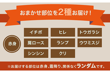【全3回定期便】1ヶ月に1度の佐賀牛ひとり贅沢コース ステーキ/焼肉/スライス 牛肉 希少 赤身 カルビ ヒレ サーロイン モモ 切り落とし[FAY065]