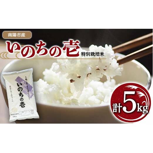 【金賞受賞農家】 令和7年産 特別栽培米 いのちの壱 5kg 『あおきライスファーム』 山形南陽産 米 白米 精米 ご飯 農家直送 山形県 南陽市 [1548]