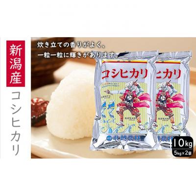 ふるさと納税 新潟市 新潟産コシヒカリ10kg [54071045]