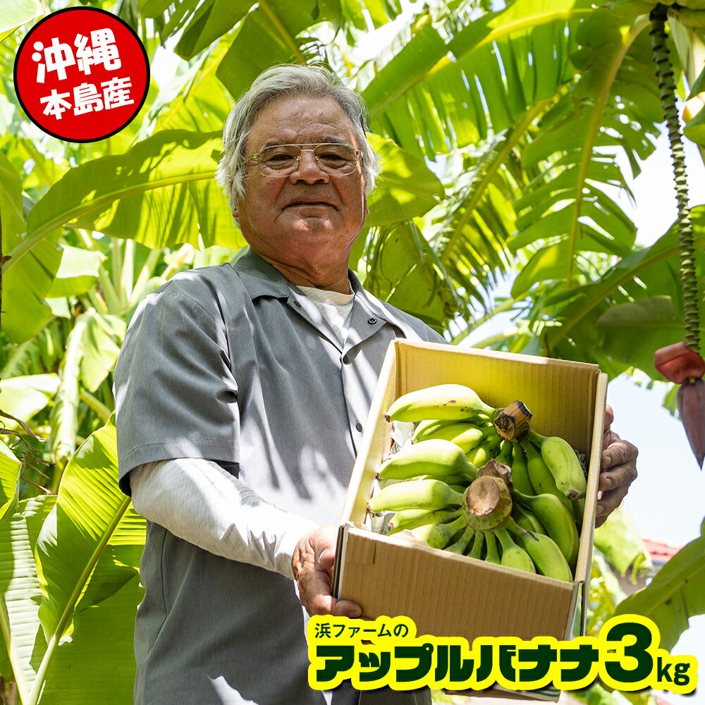 【ふるさと納税】【沖縄本島産】浜ファームの「アップルバナナ」　3kg