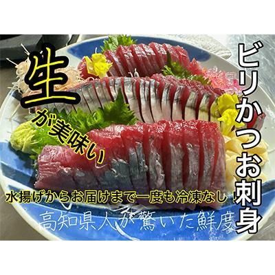 ふるさと納税 南国市 釣れたその日発送ビリかつお刺身300g×1節、わら焼きタタキ300g×1節(醤油・ニンニク・タレ付)