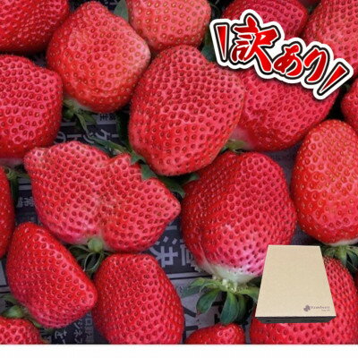 【ふるさと納税】【訳あり】《300g×4パック》規格外いちご1200g　2種以上入ります。【配送不可地域：離島・北海道・沖縄県】【1686327】