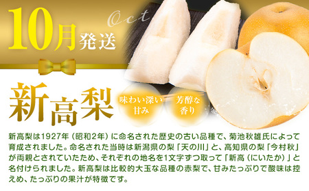 岡山県産 厳選 フルーツ 定期便 2回 シャインマスカット 新高梨 計4.2kg前後 株式会社藍《9月上旬-10月下旬頃出荷》 岡山県 浅口市 岡山県産 シャインマスカット 新高梨 梨 旬 フルーツ 