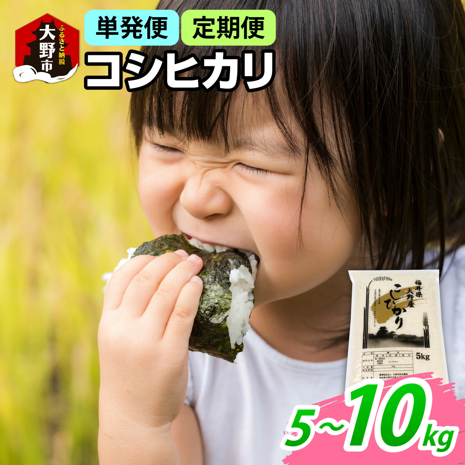 【ふるさと納税】【先行予約】【令和7年産 新米】福井県大野産コシヒカリ（白米） 5kg／10kg　選べる配送回数【単発便、定期便（3ヶ月・6ヶ月・12ヶ月）】[A-094001] お米 こしひかり 白米 精米 おこめ ご飯 ごはん お取り寄せ 艶 甘味 旨み 大野市産 福井県産 ブランド米