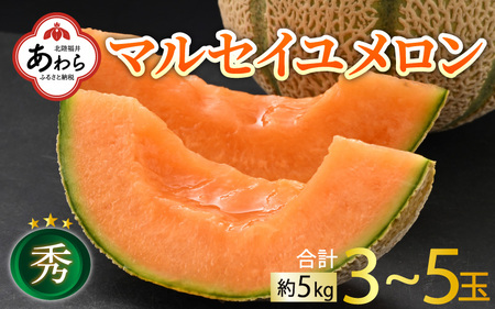 【先行予約】佐藤農園のマルセイユメロン 約5kg 秀品（3～5玉入）深みのある甘さ とろける濃厚な赤肉！農家直送 有機肥料 低農薬 ※2025年6月発送上旬より順次発送予定