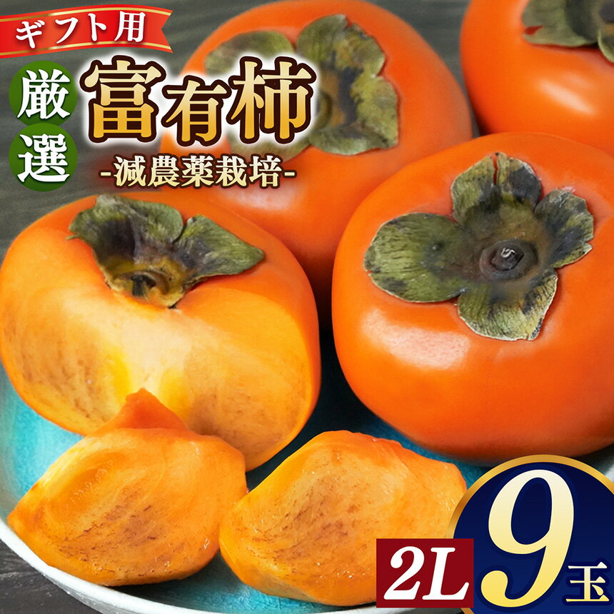 【ふるさと納税】富有柿 ギフト （紙箱） 2Lサイズ 9個 | フルーツ 果物 くだもの 柿 かき カキ 奈良県 五條市