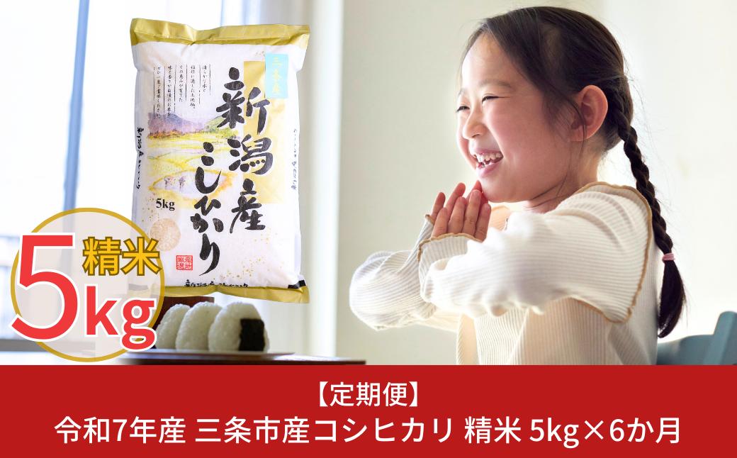 
            [定期便5kg×6か月] 新潟県三条市産コシヒカリ 計30kg 令和7年産 こしひかり 6か月連続でお届け [株式会社白熊]【038S007】
          