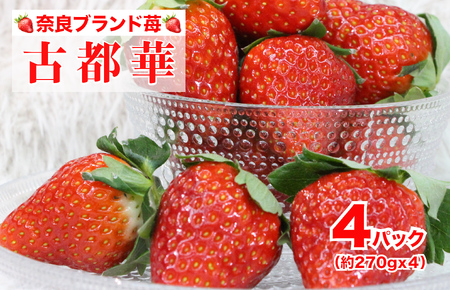 【2026年/先行予約】いちご 苺 古都華(ことか) 270gx4パック 1080g 特産品 いちご イチゴ 奈良県産いちご 大人気いちご 2026年1月から順次発送 いちご いちご いちご いちご いちご