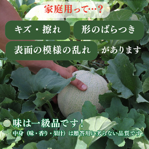 【ふるさと納税】先行受付＜メロン 2玉 合計約3kg＞ サンライズメロン 赤肉 めろん 赤 果物 フルーツ 果実 家庭用 旬 ちょっと訳あり【常温】高知県 佐川町 はちきんの店 ＜2026年7月中旬頃