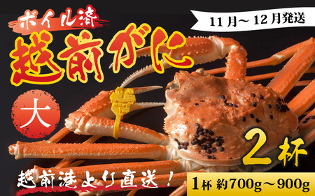 【先行予約】越前港より直送！ 越前がに 大 (約700g～900g) 2杯※発送前に在宅確認の電話連絡をいたします!【11月～12月発送】 海鮮  ボイル 