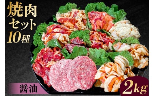 焼肉セット10種（醤油）【 味付け 醤油 簡単 BBQ バーベキュー 牛タン 牛カルビ 牛ウデ 牛肩ロース 牛さがり 豚トロ ハンバーグ ホルモン 鶏もも 豚カルビ 小分け 冷凍保存 】