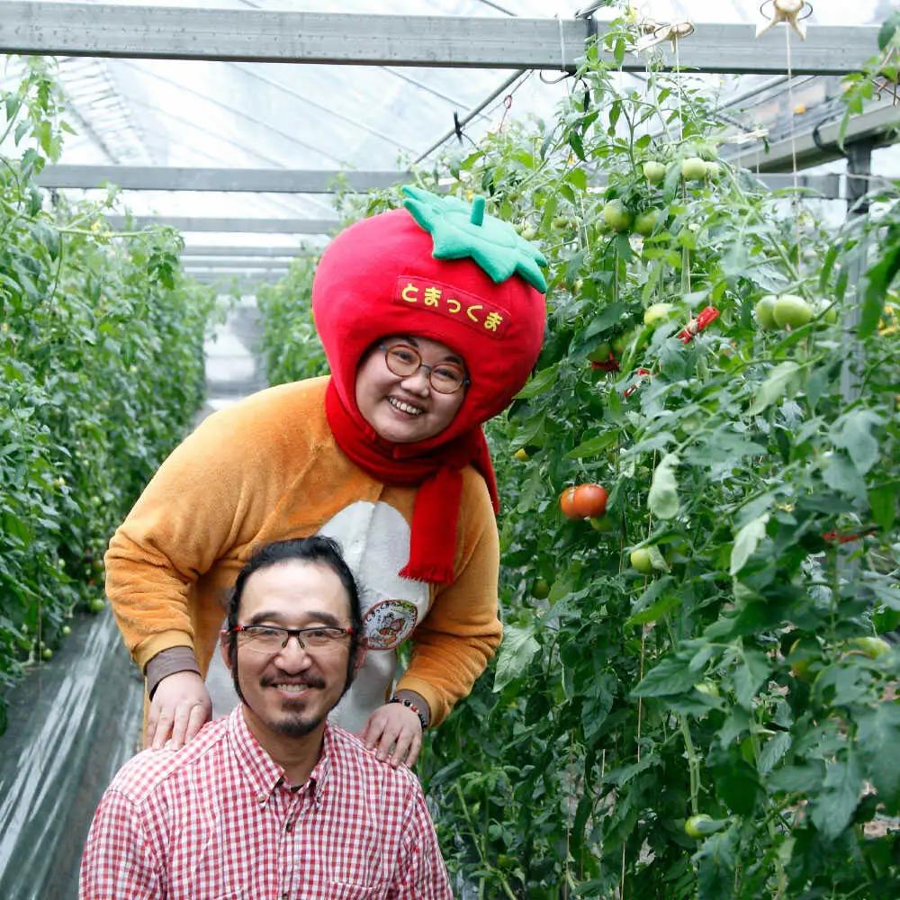 【訳あり】【先行予約】訳あり 赤いミニトマトの宝石箱 約2キロ 約2kg〈2026年11月下旬〜2027年5月下旬まで〉高知県 土佐市【ファーム輝】 [BQBM010]