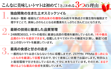 トマト ZEPPIN PRM1kg ミニトマト