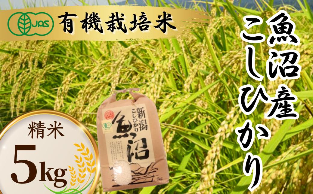 
                  【コシヒカリ 5kg】令和8年産 新米 先行予約 魚沼産コシヒカリ 有機JAS認証 有機栽培米 精米5kg 魚沼わたなべ農園 | 新潟県産コシヒカリ 魚沼産こしひかり 有機栽培米 有機JAS オーガニック お米 米 白米 精米 こしひかり おこめ コメ 5キロ 産地直送 にいがた おぢや 新潟県 小千谷市 【0002-0270】
                