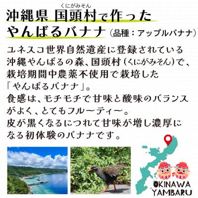 ふるさと納税 国頭村 【栽培期間中農薬不使用】やんばるバナナ1.5kg(10〜24本) |  | 01