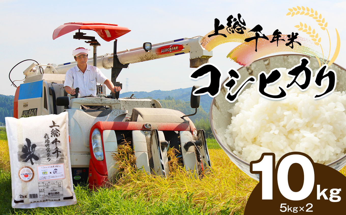 
            新米 上総千年米 コシヒカリ （精米） 10㎏ | 米 こめ お米 おこめ 白米 精米 プレミアムなお米 千葉 こしひかり 千葉県 君津市
          