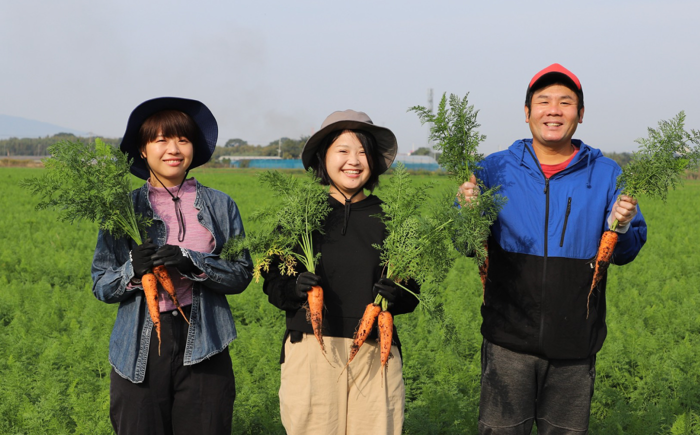 【先行予約】【2026年11月より順次発送】菊陽秋冬にんじん (訳あり) 約5kg / にんじん 菊陽にんじん 秋冬にんじん ニンジン 人参 野菜 熊本 菊陽 【さかもと農園】 [BHDL007]