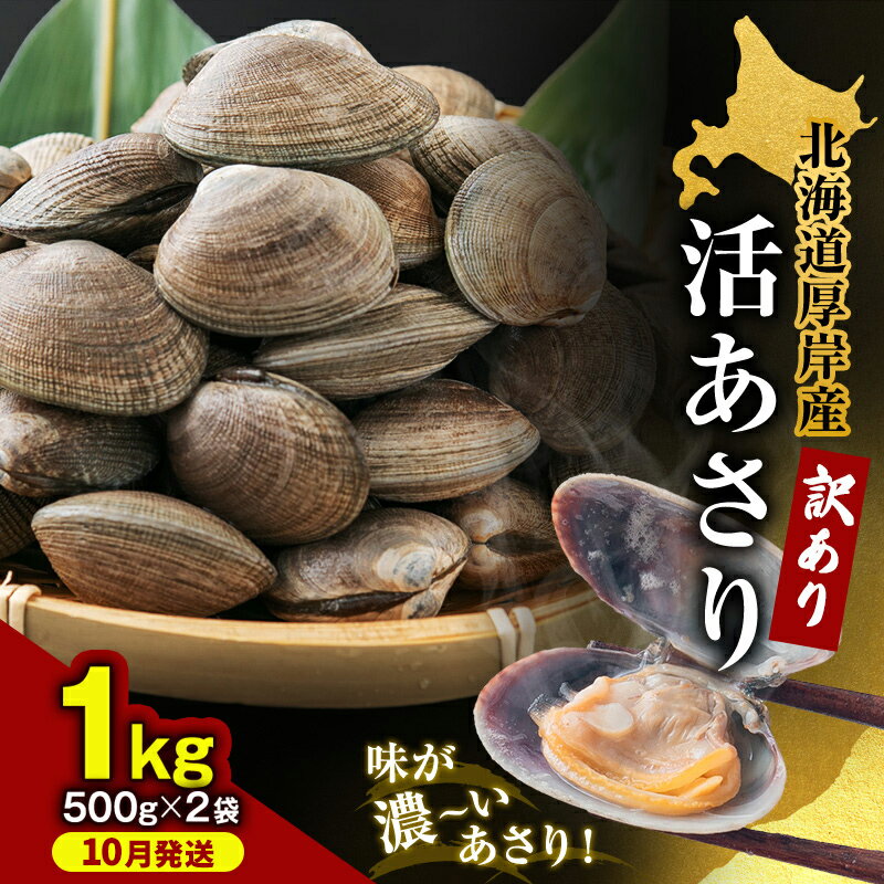 【ふるさと納税】10月発送 北海道 厚岸産 訳あり 活あさり 500g×2 (合計1kg) アサリ 魚貝 海鮮 大粒 美味しい 栄養 旨み 砂出し 水洗い 冷蔵 冷凍保存可能 便利　お届け：2026年10月1日～30日