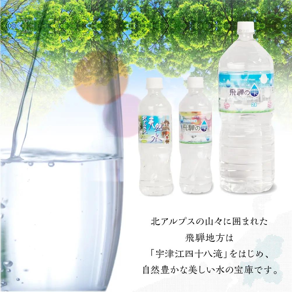 飛騨の雫 水 500ml×48本 (2ケース)  | 水 ミネラルウォーターJS013