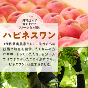 旬の朝採れ特選大玉もも 5.0kg以上（13～16玉）【2025年発送】（HO）C5-411【桃 もも モモ 令和7年発送 期間限定 山梨県産 甲州市 フルーツ 果物】