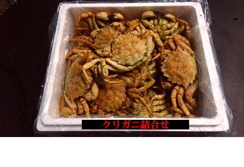 【北海道根室産】クリガニ計2kg詰め合わせ(チルド便) A-57018
