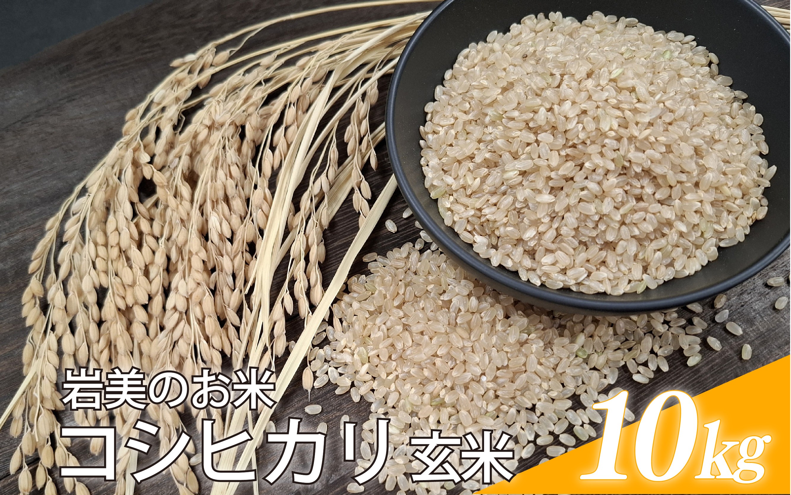 
                  【令和8年産 先行予約】鳥取県岩美町産コシヒカリ（玄米）10kg｜鳥取 岩美 吉田美宝農園 こしひかり 【31033】
                