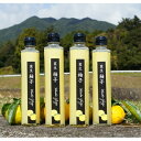 【ふるさと納税】実生ゆず果汁　200ml 4本入り【配送不可地域：離島】【1135670】