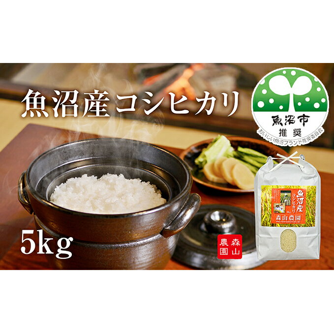 【ふるさと納税】令和7年産 森山農園 魚沼産コシヒカリ 5kg お米 コシヒカリ 　お届け：寄附入金確認後、随時発送