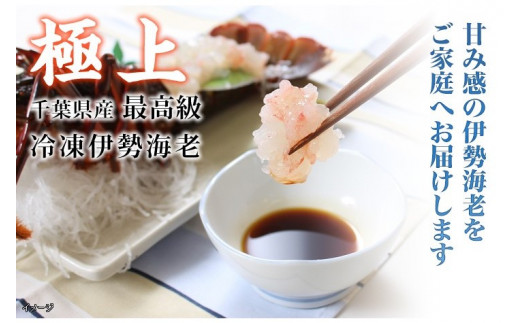 
F119 活〆生食用伊勢海老（冷凍）１５０５ｇ（２００～２３０ｇ）×７匹
