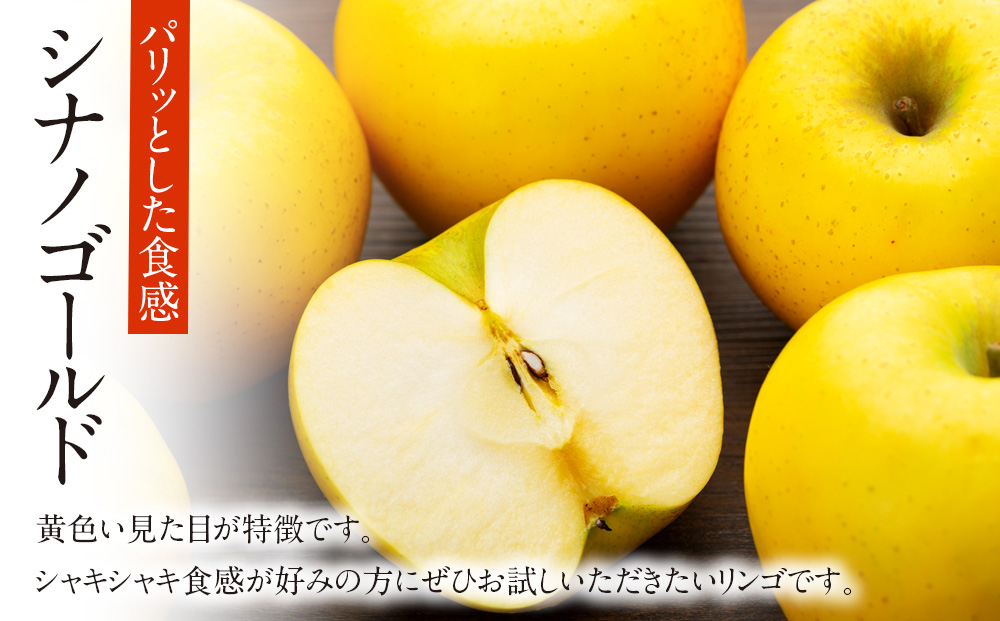 【贈答用】りんご 長野 サンふじ6玉&シナノゴールド6玉　 約3kg （12玉）