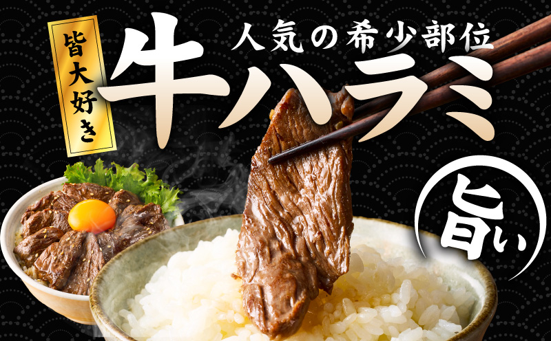 【満足牛ハラミ】甘辛タレ漬け 合計2.5kg 【味付け ハラミ 小分け 焼くだけ 簡単調理 BBQ 牛肉 250g×10P】