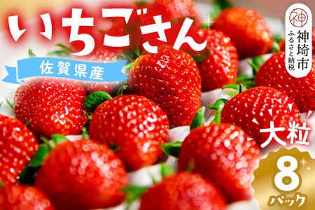 【先行受付 令和9年1月より発送】佐賀県産『いちごさん』8Pセット【苺 イチゴ ブランドいちご 大粒 果物 フルーツ デザート ふるさと納税】(H108102)