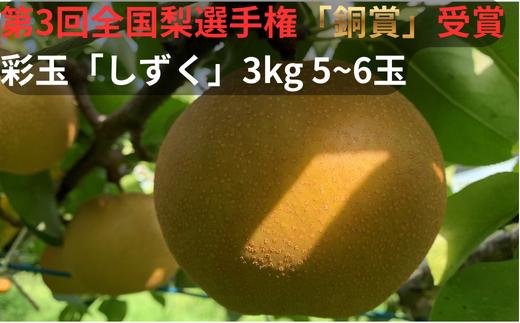 
            【2026年発送分 先行予約】アルファイノベーション株式会社　彩玉　3kg 5~6玉　「しずく」　【11246-0364】全国梨選手権　銅賞受賞
          