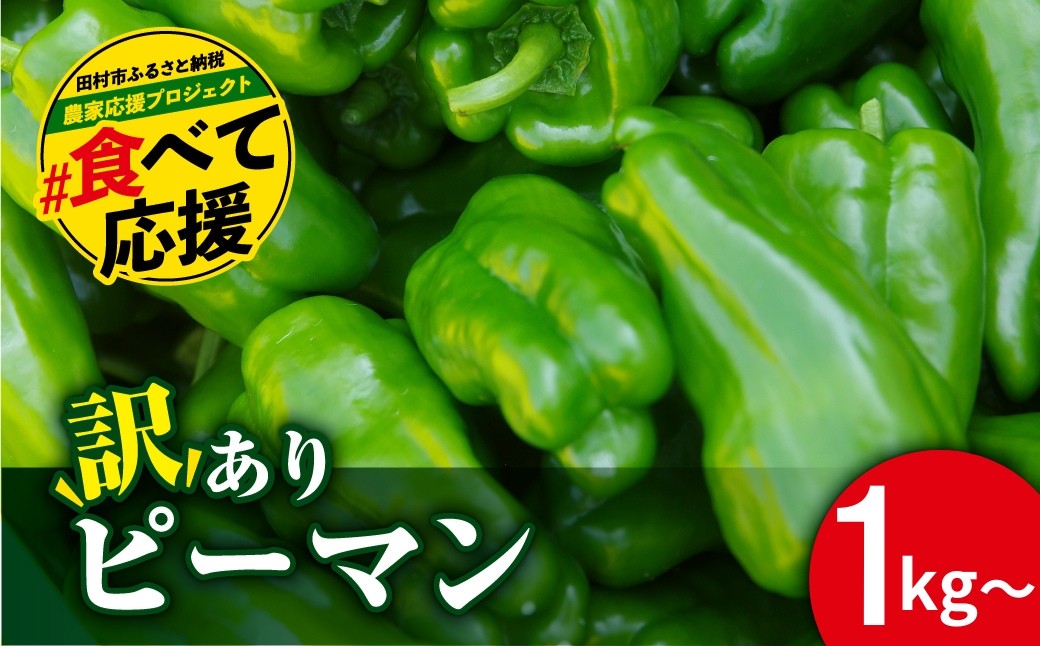 
                  農家さん応援！ 【訳あり】 ピーマン 1kg ～ 3kg 農家直送 野菜 新鮮 BBQ 焼肉 国産 おすすめ 送料無料  緊急支援品 生活応援 コロナ支援 福島県 田村市 新田ファーム
                