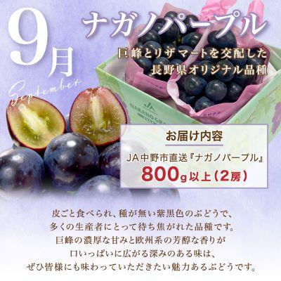 ふるさと納税 中野市 【発送月固定定期便】JA中野市　糖度13度保証の桃2.1kg以上とナガノパープル800g以上全2回 |  | 03