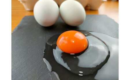 卵の玉手箱（烏骨鶏入り）10個×2パック 天然記念物 美味しい 濃厚 甘み 臭み ゆで卵 生卵 卵かけごはん 日本三大地鶏 名古屋コーチン 赤卵 有精卵 