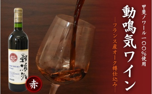 
                  動鳴気ワイン オーク樽貯蔵 720ml / 田辺市 赤ワイン 葡萄酒 お酒 アルコール 宅飲み 家飲み 甲斐ノワール フランス産 オーク樽仕込み ギフト プレゼント 贈り物 贈答 お祝い 記念日 誕生日 ディナー パーティー ご褒美 日本ワイン 国産【kkb010-1】
                