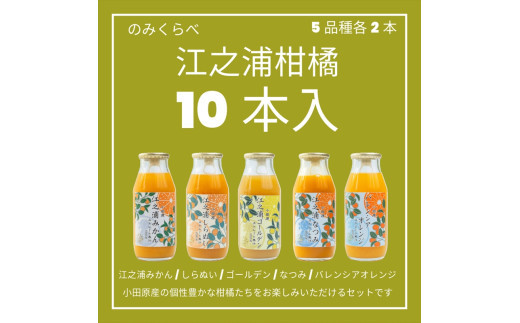 小田原産江之浦みかんジュース５種のみくらべ１０本セット うんしゅう・しらぬい・ゴールデン・なつみ・バレンシアオレンジ１００％ストレートジュース１８０ml各２本合計１０本 142069_GJ100