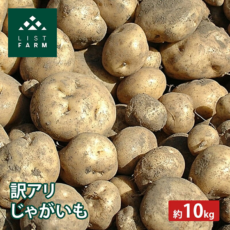【ふるさと納税】【 訳アリ 】 じゃがいも 約 10kg 男爵 or キタカムイ リストファーム サイズ 混合 馬鈴薯 芋 ポテト イモ 産地直送 野菜　お届け：2026年9月中旬～10月下旬