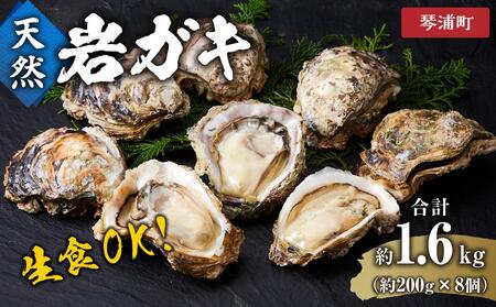 【 先行予約 2025年6月以降発送 】 天然 岩ガキ 約 200 g × 8 個　※北海道、沖縄、一部離島への配送不可