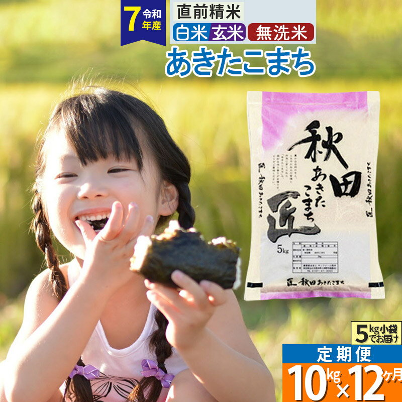 【ふるさと納税】【白米／玄米／無洗米】※R7※《定期便12ヶ月》秋田県産 あきたこまち 10kg (5kg×2袋)×12回 令和7年産 お米 匠