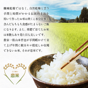 令和7年産 富山県産コシヒカリ 5kg　恋米（ここまい） 天風穂（あまほ） はざかけ米 はざ掛け 富山県 氷見市
