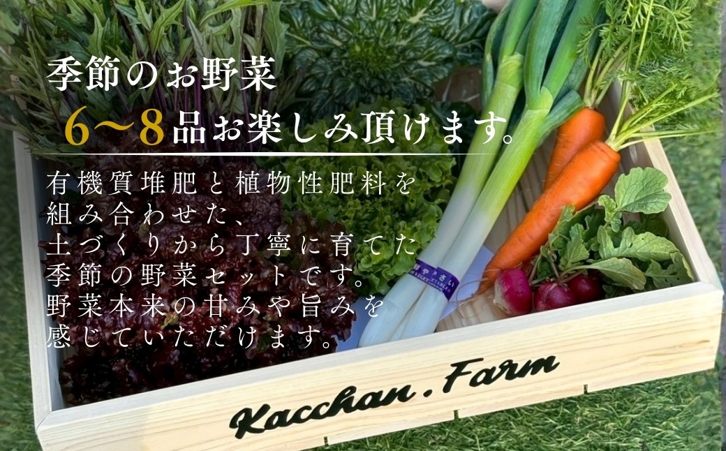 時期によって内容は変わります。